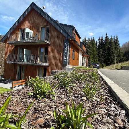 Apartmany U Lesa Dolní Morava 외부 사진