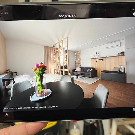 Apartmany U Lesa Dolní Morava 객실 사진