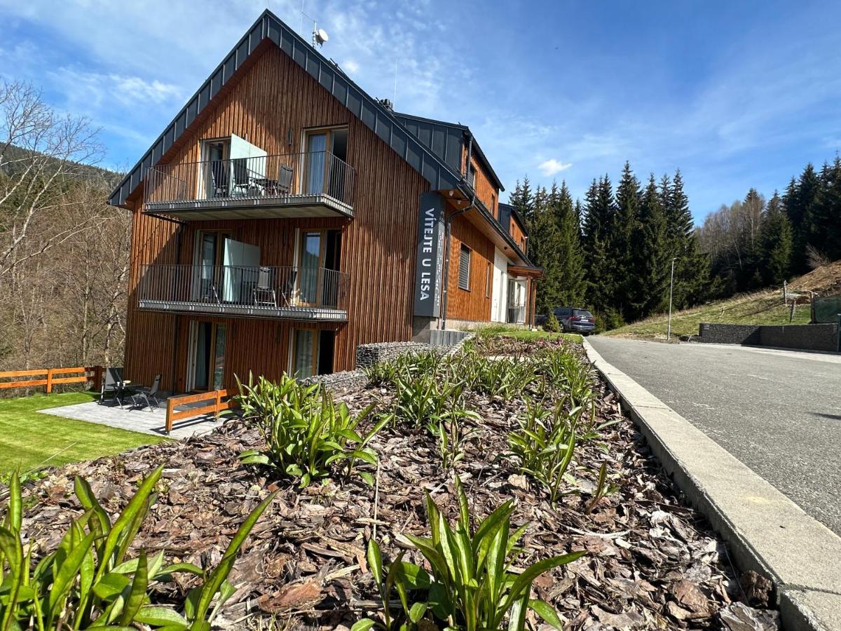 Apartmany U Lesa Dolní Morava 외부 사진