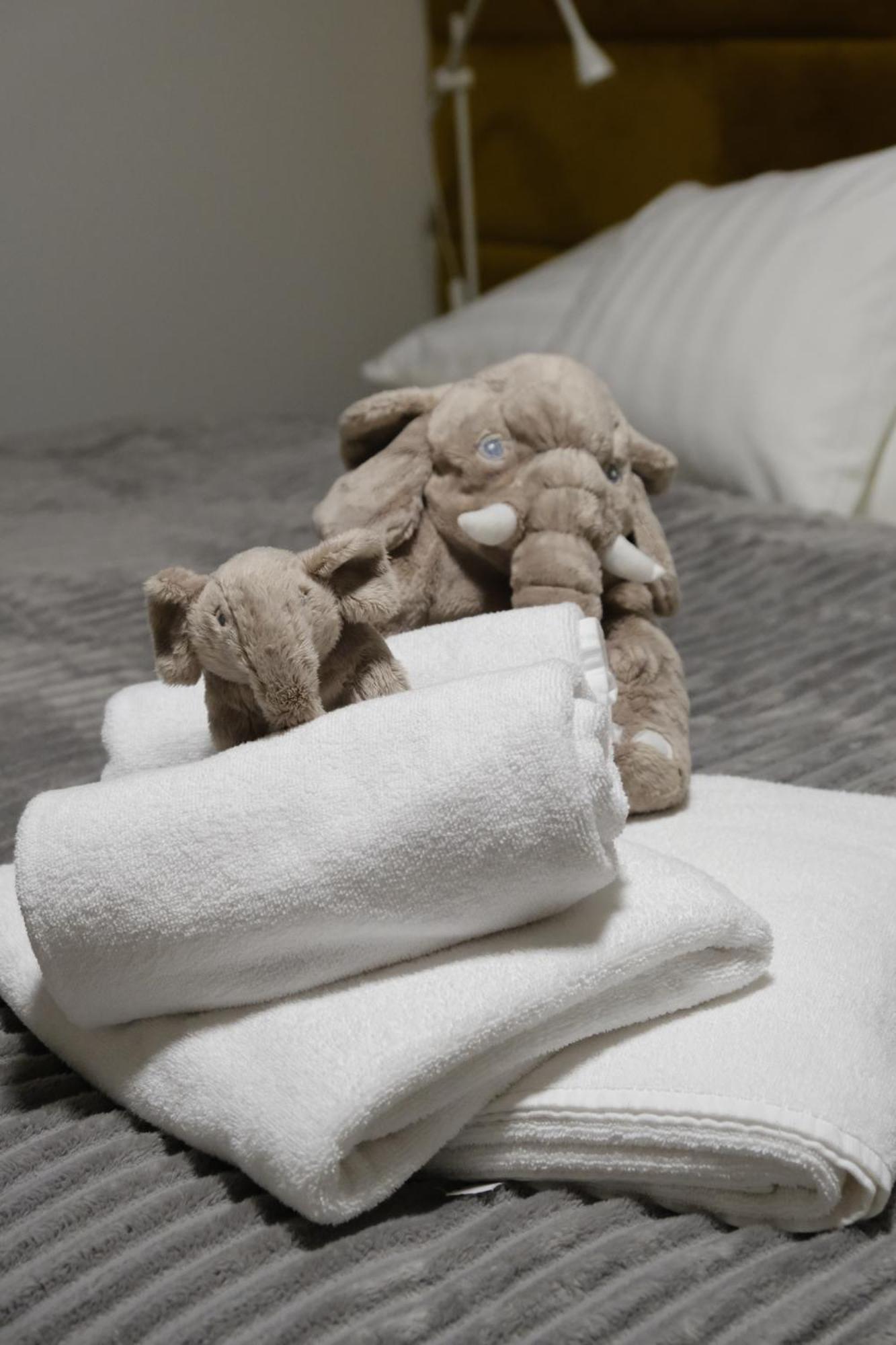 Apartmany U Lesa Dolní Morava 객실 사진